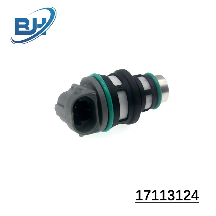 Fuel Injectors Replacement 17113197 17113124