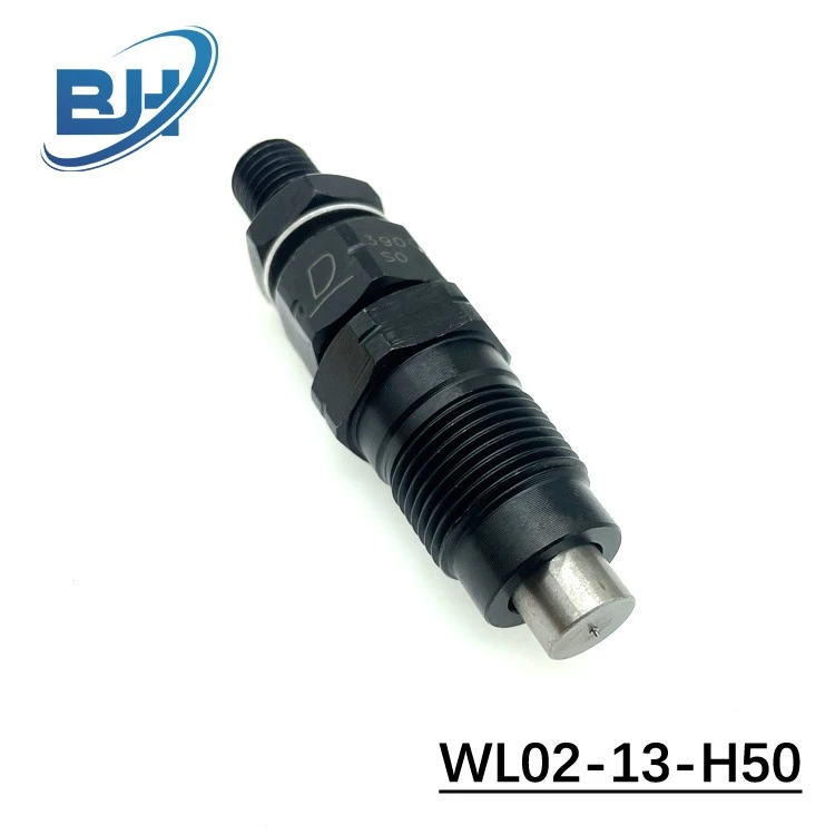 Fuel Injector Nozzle Assy Set